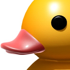 rubber_ducky