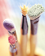 paintbrushes