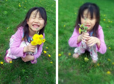 nina-annie nina-annie