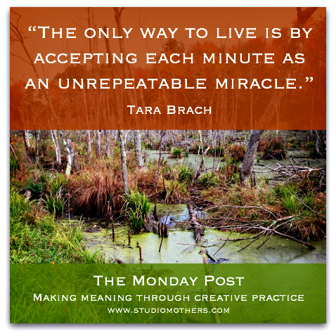 Tara Brach quote